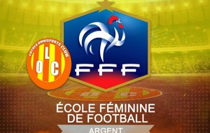 LABEL ECOLE DE FOOTBALL FÉMININ NIVEAU : ARGENT