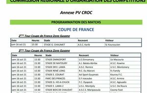 COUPE DE FRANCE